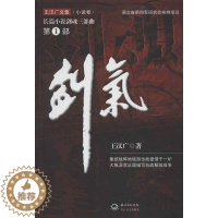 [醉染正版]王汉广文集(小说卷)剑魂(三部曲) 王汉广 作品集文学 长江文艺出版社剑魂(共3册王汉广文集小说卷)