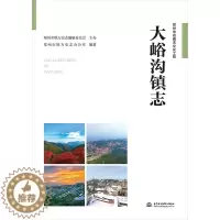 [醉染正版]大峪沟镇志 郑州市地方史志办公室 编 中国水利水电出版社
