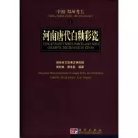 醉染图书河南唐代白釉彩瓷9787030202598