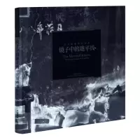 醉染图书镜子中的地平线(史民峰)/画册9787804608