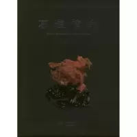 醉染图书石道情缘9787534773495