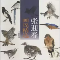 醉染图书张迎春画鸟精选9787539330686
