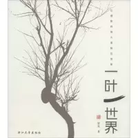 醉染图书一叶一世界9787308039499