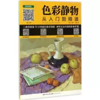 醉染图书色彩静物从入门到精通9787539490