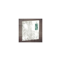 醉染图书唯美白描精选·藤飞蔓舞9787539338606