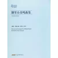 醉染图书钢琴小奏鸣曲集9787539653402