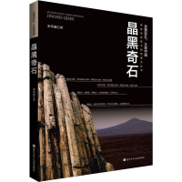 醉染图书晶黑奇石9787559715876