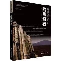 醉染图书晶黑奇石9787559715876