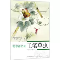 醉染图书工笔草虫9787534439018