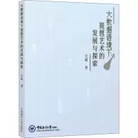 醉染图书大数据语境下琵琶艺术的发展与探索9787567029422