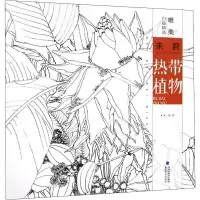 醉染图书唯美白描精选 未君 热带植物9787539340043