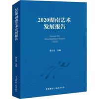 醉染图书2020湖南艺术发展报告9787507852080