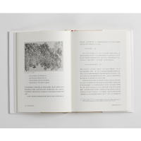 醉染图书中国美术史论9787547931165