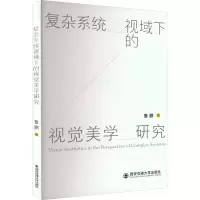 醉染图书复杂系统视域下的视觉美学研究9787569317084