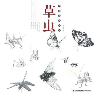 醉染图书草虫/白描技法精解9787539337265