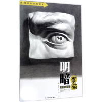 醉染图书明暗素描9787539490816