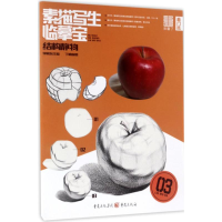 醉染图书素描写生·临摹宝97872291200