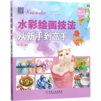 醉染图书水彩绘画技法从新手高9787111578024
