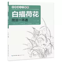 醉染图书画精解-白描荷花·技法一解通9787571212513