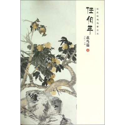 醉染图书经典绘画临摹范本9787539858043