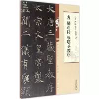 醉染图书唐褚遂良雁塔圣教序9787539873763