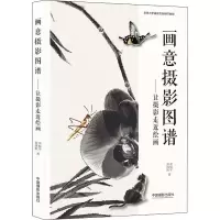 醉染图书画意摄影图谱——让摄影走进绘画9787517908135