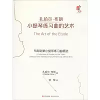 醉染图书小提琴练习曲的艺术9787514381269