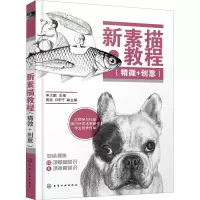 醉染图书新素描教程(精微+创意)978712489