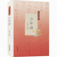 醉染图书少年游9787551416993