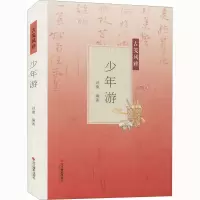 醉染图书少年游9787551416993