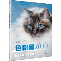 醉染图书色粉画小白指南9787110103456