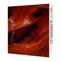 醉染图书葵颂(许江作品集)(精)9787550318649