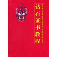 醉染图书钻石教程(精)9787562520368