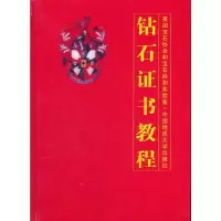 醉染图书钻石教程(精)9787562520368