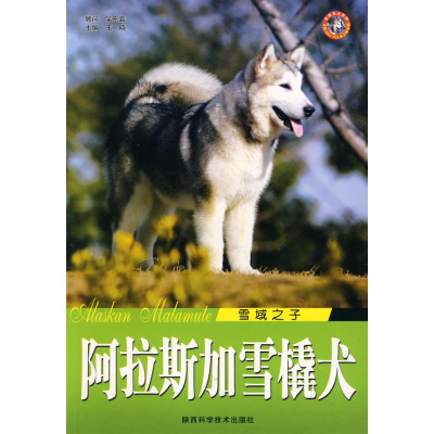 醉染图书阿雪橇犬/雪域之子9787536943490