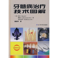 醉染图书牙髓病治疗技术图解9787538149982