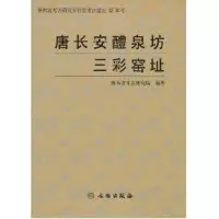 醉染图书唐长安醴泉坊三彩窑址9787501017935