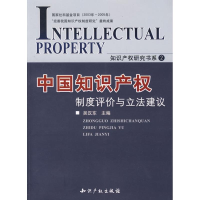 醉染图书中知识权制度评价与建议9787801988430