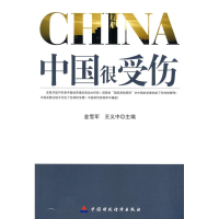 醉染图书中国很受伤9787509513972