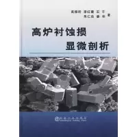 醉染图书高炉衬蚀损显微剖析9787502450977