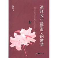 醉染图书追赶我可能丢了的爱情9787801787217