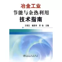醉染图书冶金工业节能与余热利用技术指南\王绍文9787502451653