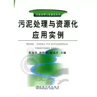 醉染图书污泥处理与资源化应用实例97875024522