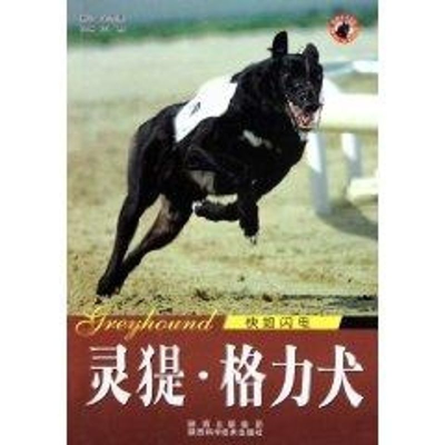 醉染图书世界名犬-灵提格力犬9787536946781