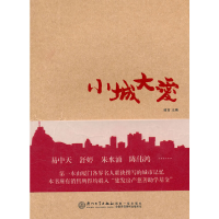 醉染图书小城大爱9787561536872