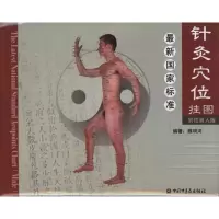 醉染图书标准针灸位挂(男真人版)大9787801304