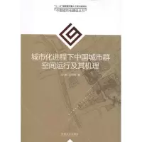 醉染图书城市化进程下中国城市群空间运行及其机理9787564101