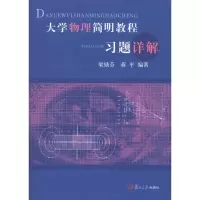 醉染图书大学物理简明教程习题详解9787309078794