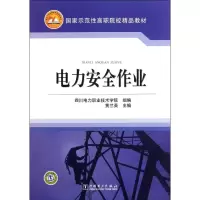 醉染图书电力安全作业9787511028