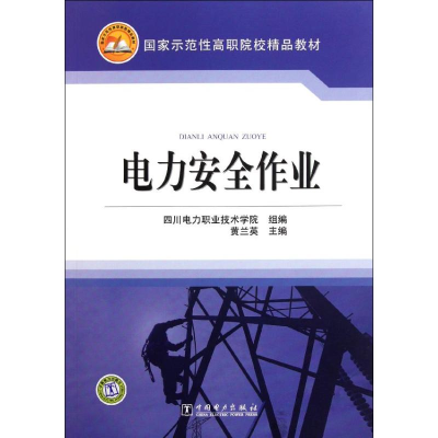 醉染图书电力安全作业9787511028